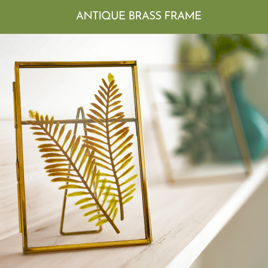 Glass Table - top Frame (4x6) - Behoma