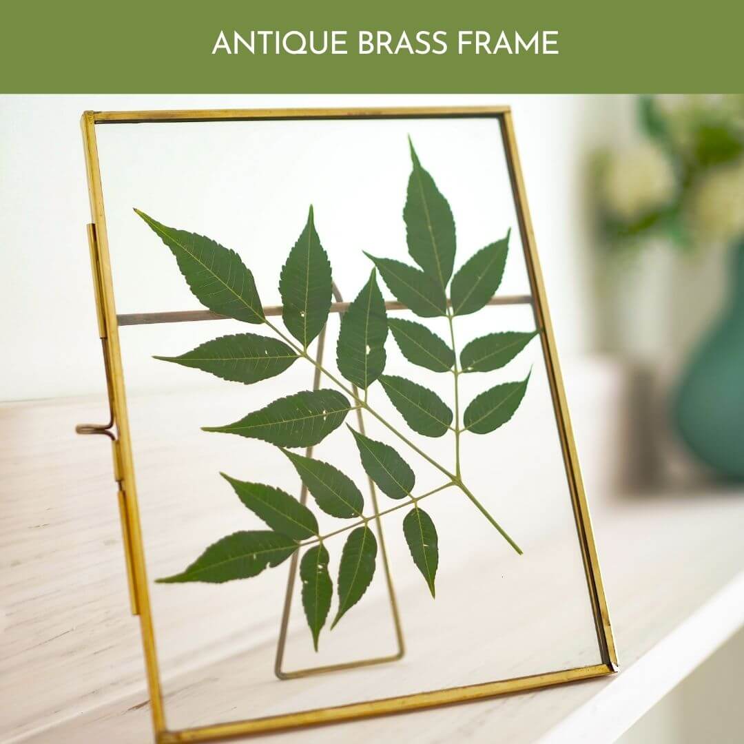 Glass Table - top Frame (4x6) - Behoma