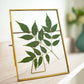 Glass Table - top Frame (4x6) - Behoma