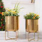 Golden Radiance Metal Hammered Planter Set