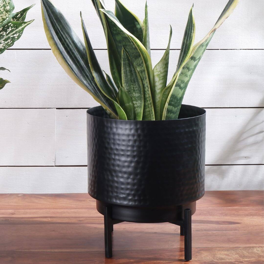 Hammered Indoor Planter - Matt black, 7.7'' - Behoma