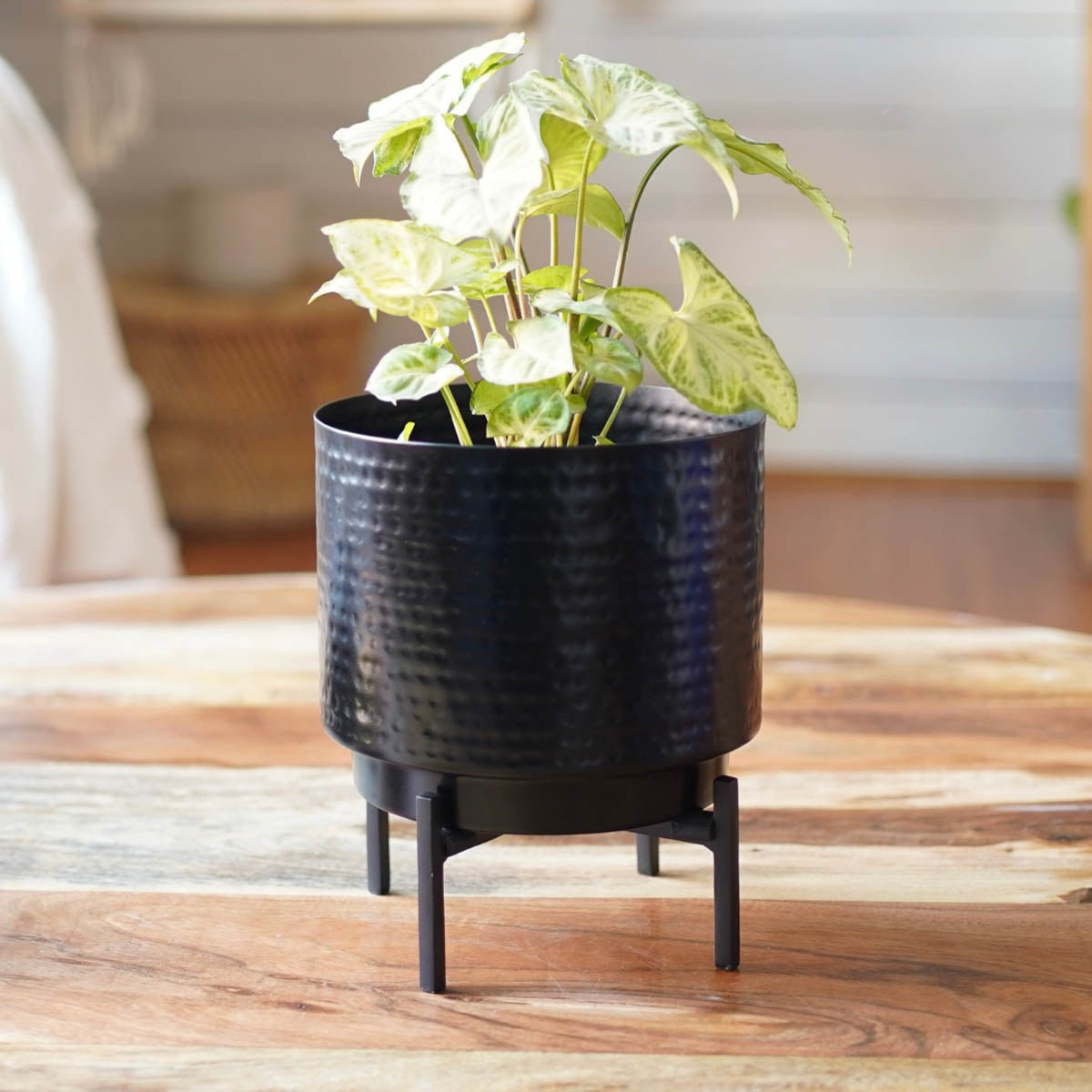 Hammered Indoor Planter - Matt black, 7.7'' - Behoma