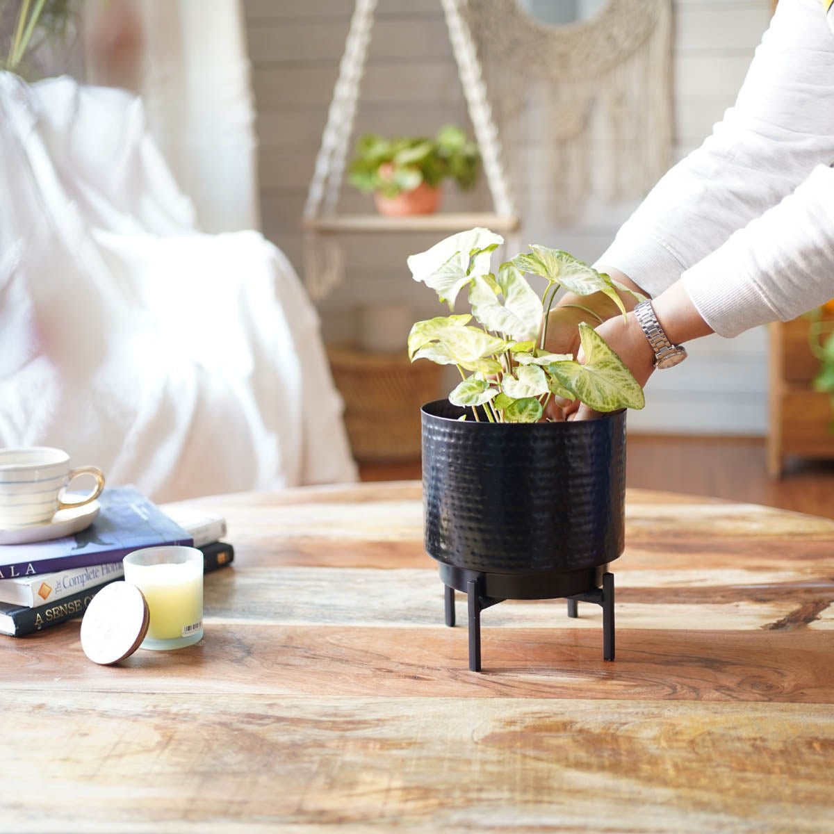 Hammered Indoor Planter - Matt black, 7.7'' - Behoma