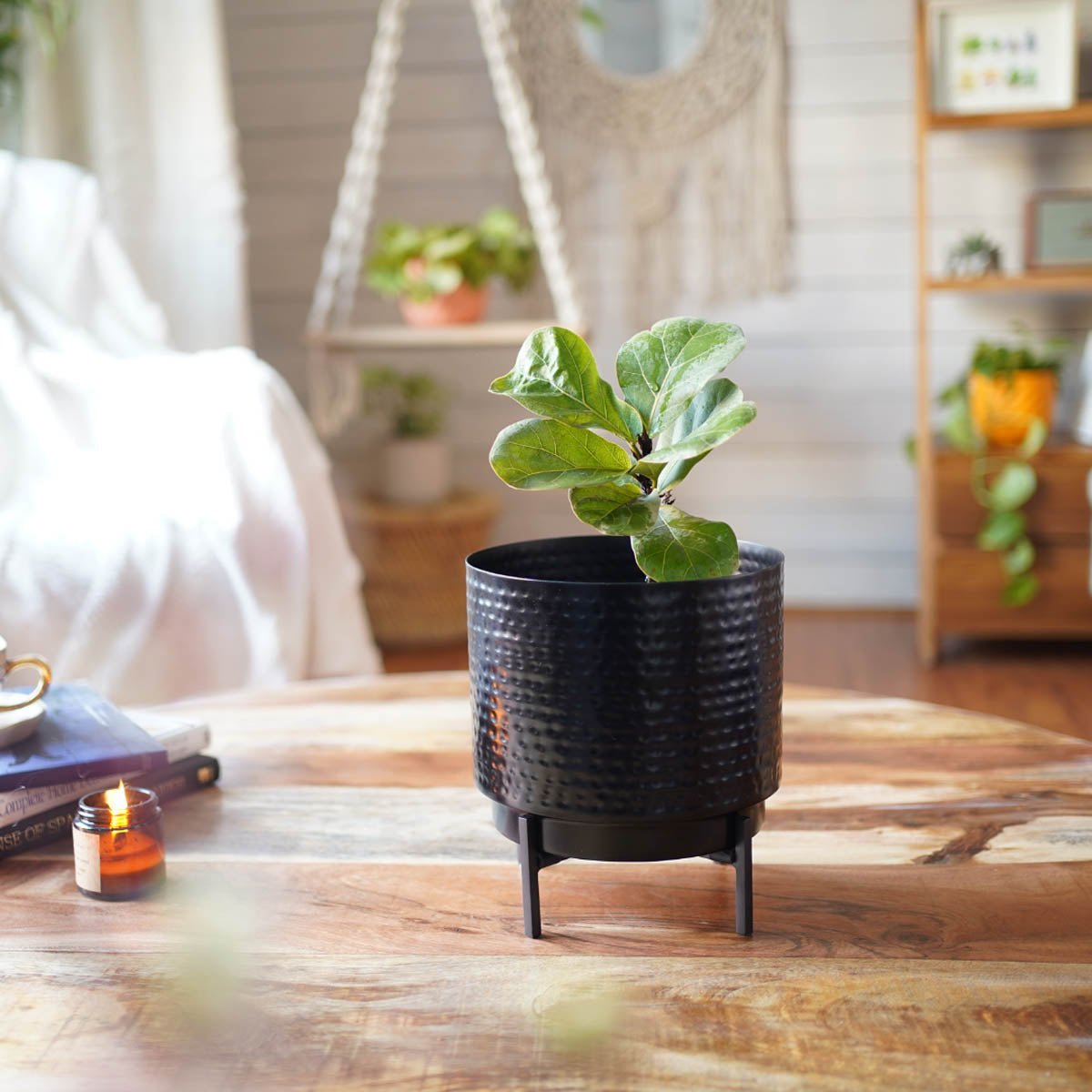 Hammered Indoor Planter - Matt black, Set - 8.3'' & 7.7'' - Behoma