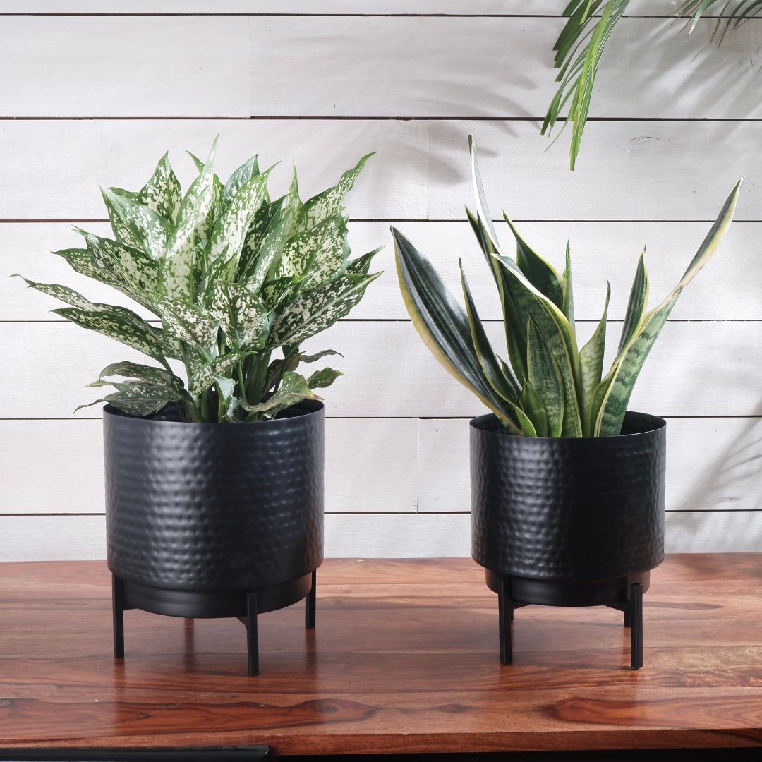 Hammered Indoor Planter - Matt black, Set - 8.3'' & 7.7'' - Behoma