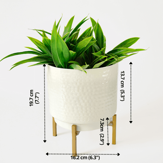 Hammered Indoor Planter - White, 7.7'' - Behoma