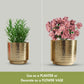 Hammered Table - top Planter, Set 4.9'' & 4.7'' - Behoma