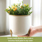 Metal Gold Rim Leaf leg Planter, Set - Behoma