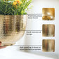 Metal Hammered Bowl Planter - Gold, 5.5'' - Behoma