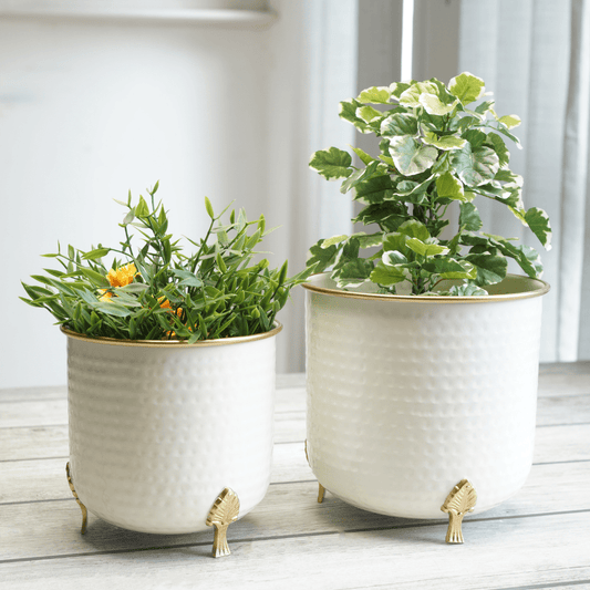 Metal Hammered Gold Rim Leaf leg Planter, White, Set of 2 - 6''X 7'' - Behoma