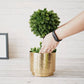 Metal Hammered Indoor Planter - Behoma