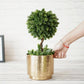 Metal Hammered Indoor Planter - Behoma