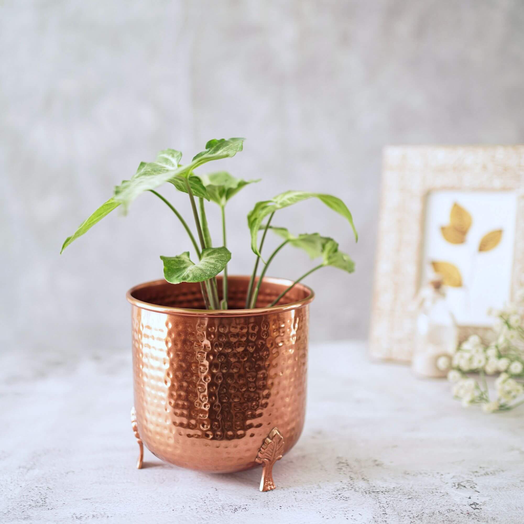 Decorative Copper Planter (Set of 2) store - Handmade Hammered Copper Pots