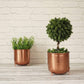 Metal Hammered Planter, Copper, Set of 2 - 6.2'' - Behoma