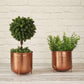 Metal Hammered Planter, Copper, Set of 2 - 6.2'' - Behoma