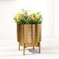 Metal Hammered Planter, Gold, 7.8'' - Behoma