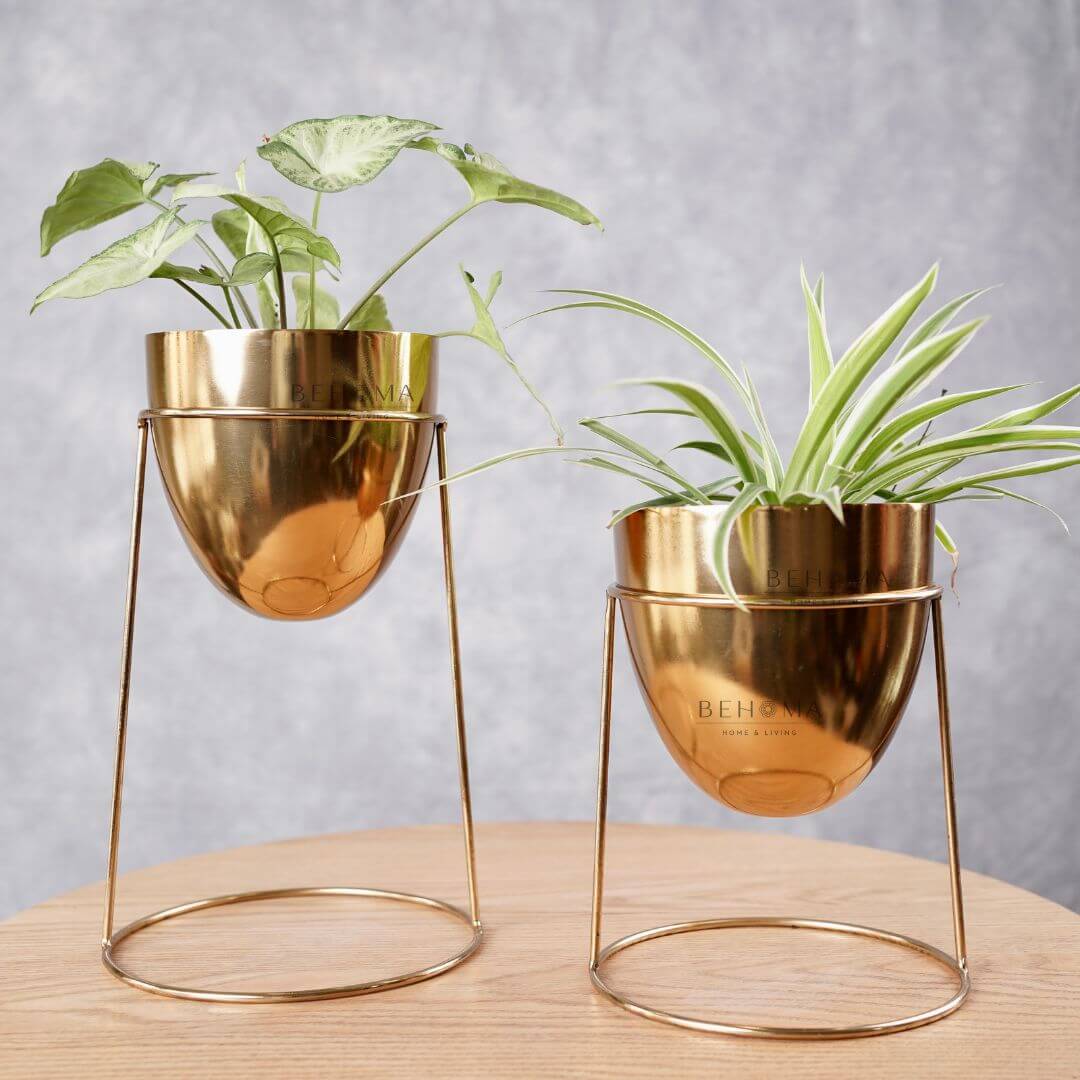 Metal Planter with Round Gold Stand