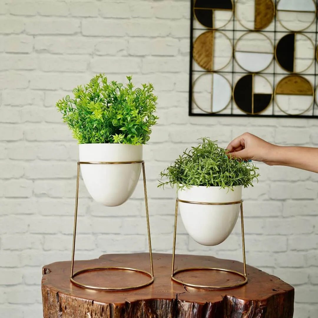 White Metal Planter with Round Gold Stand