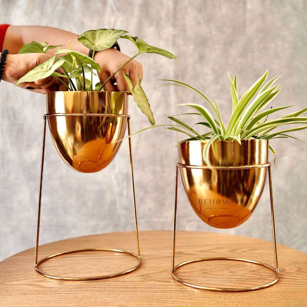 Metal Planter with Round Gold Stand