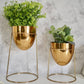 Metal Planter with Round Gold Stand