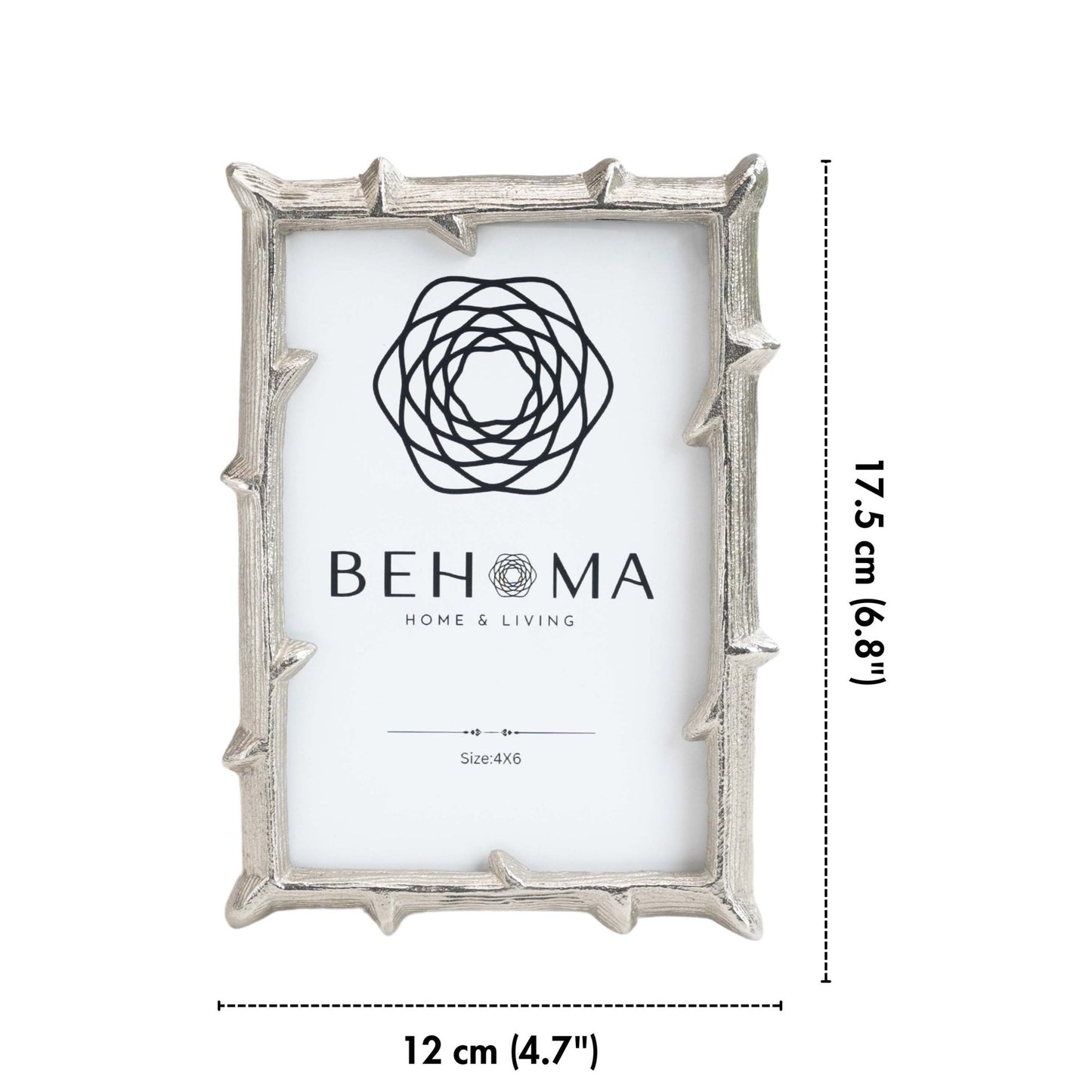 Metal Twig Frame, Silver - (4x6) - Behoma