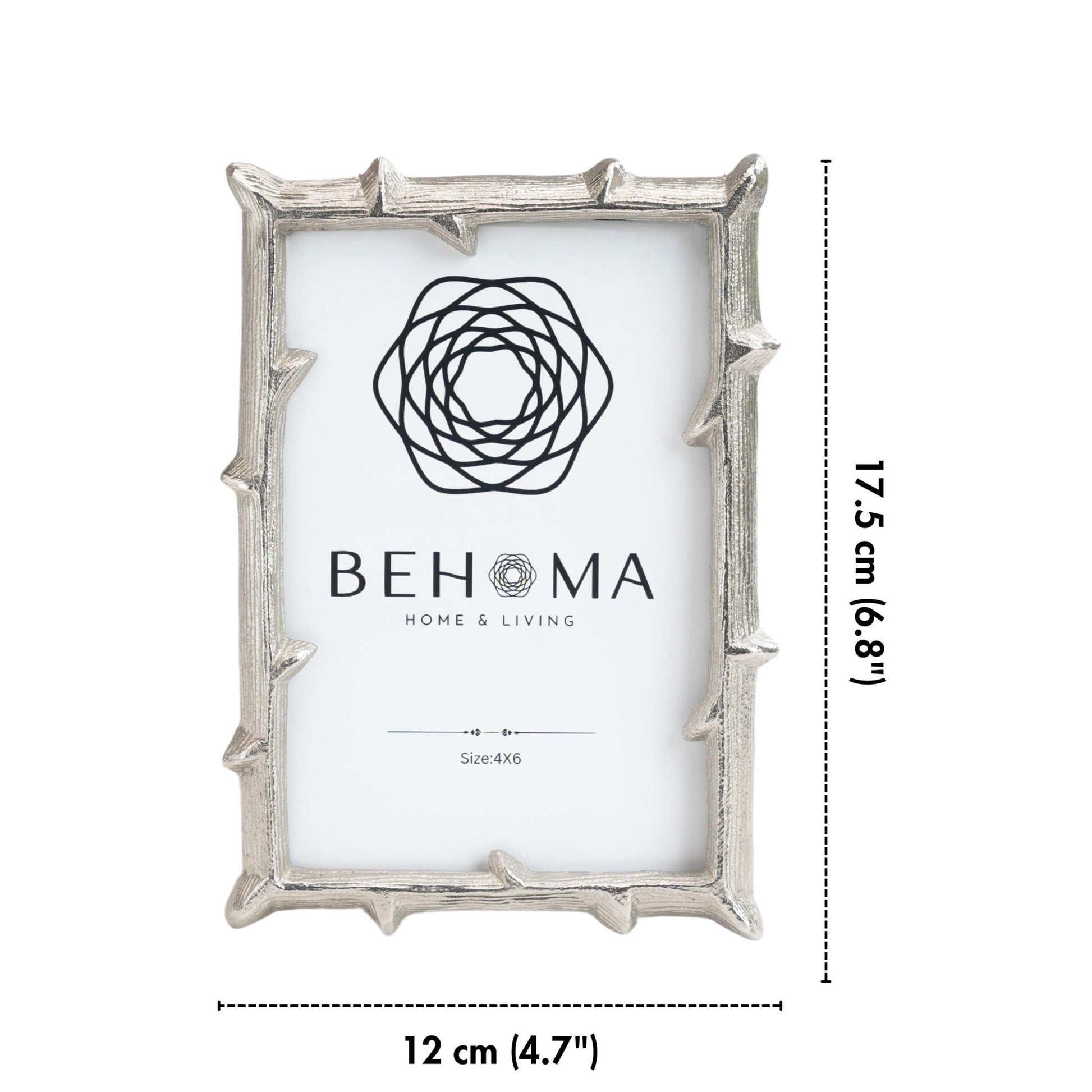 Metal Twig Frame, Silver - (6x8) - Behoma