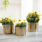 Mini Table - top Hammered Planter, Gold, Set - 4.1'' & 3.5'' - Behoma