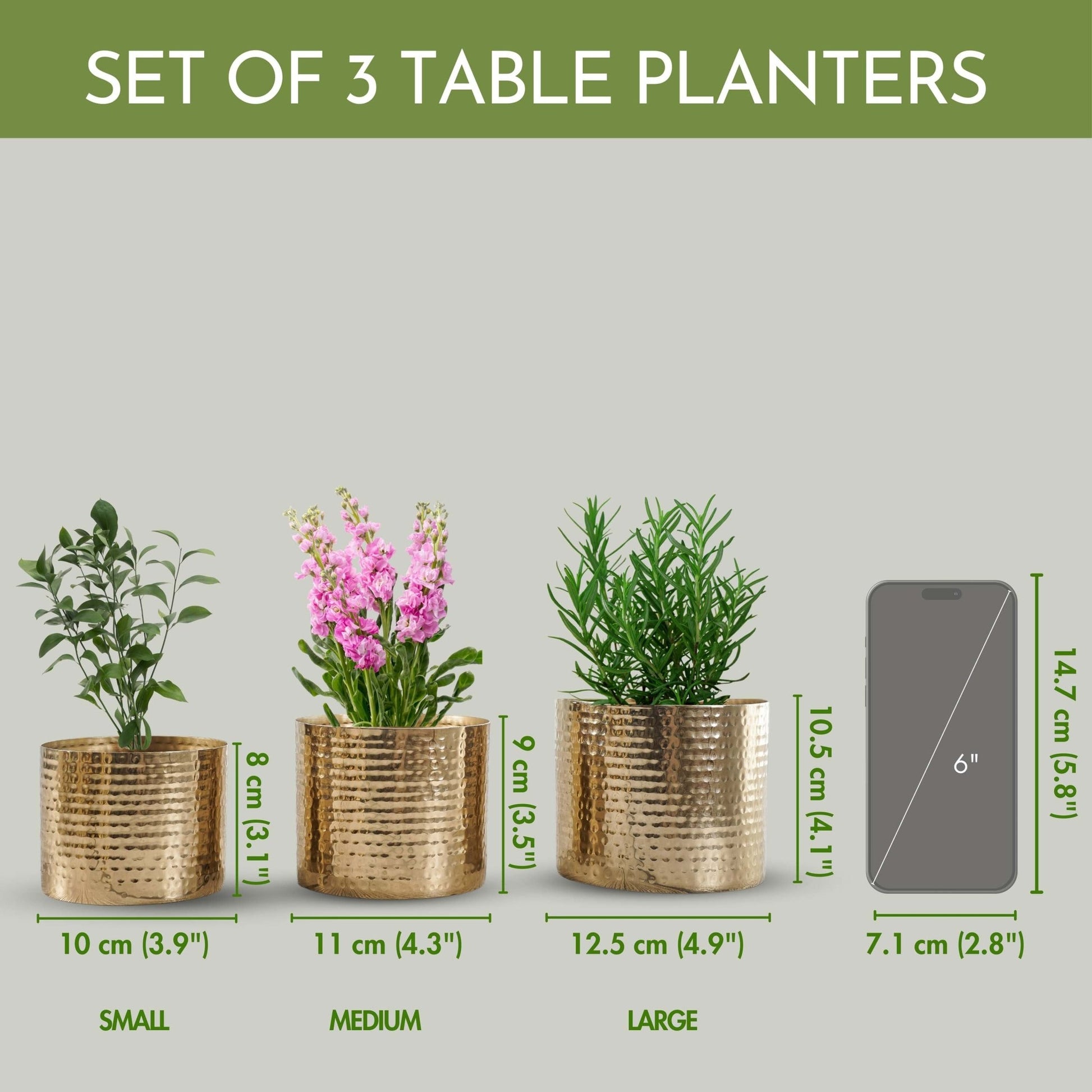 Mini Table - top Hammered Planter, Gold, Set - 4.1'' & 3.5'' - Behoma