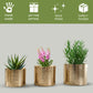 Mini Table - top Hammered Planter, Gold, Set - 4.1'' & 3.5'' - Behoma