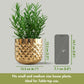 Pineapple Metal Planter Set - Behoma