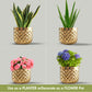 Pineapple Metal Planter Set - Behoma