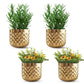 Pineapple Metal Planter Set - Behoma