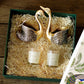 Swan Gift Hamper - Behoma