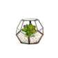 Terrarium Antique Copper, Set - Behoma