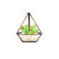 Terrarium Antique Copper, Set - Behoma