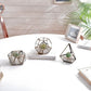 Terrarium Antique Copper, Set - Behoma