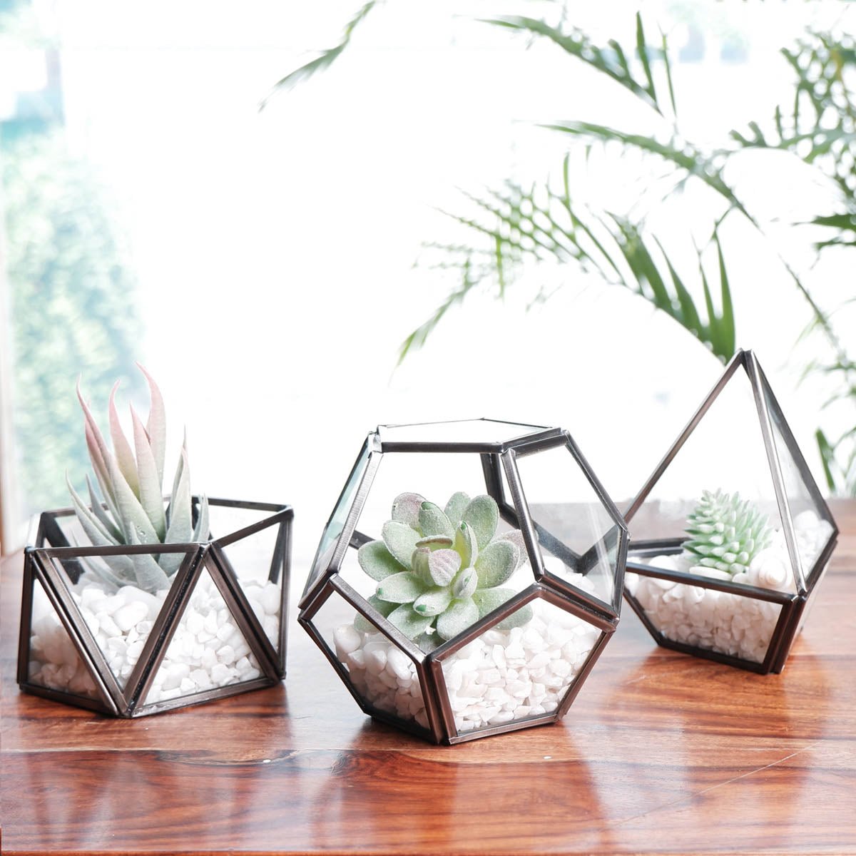 Terrarium Antique Copper, Set - Behoma