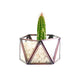 Terrarium Antique Copper, Set - Behoma