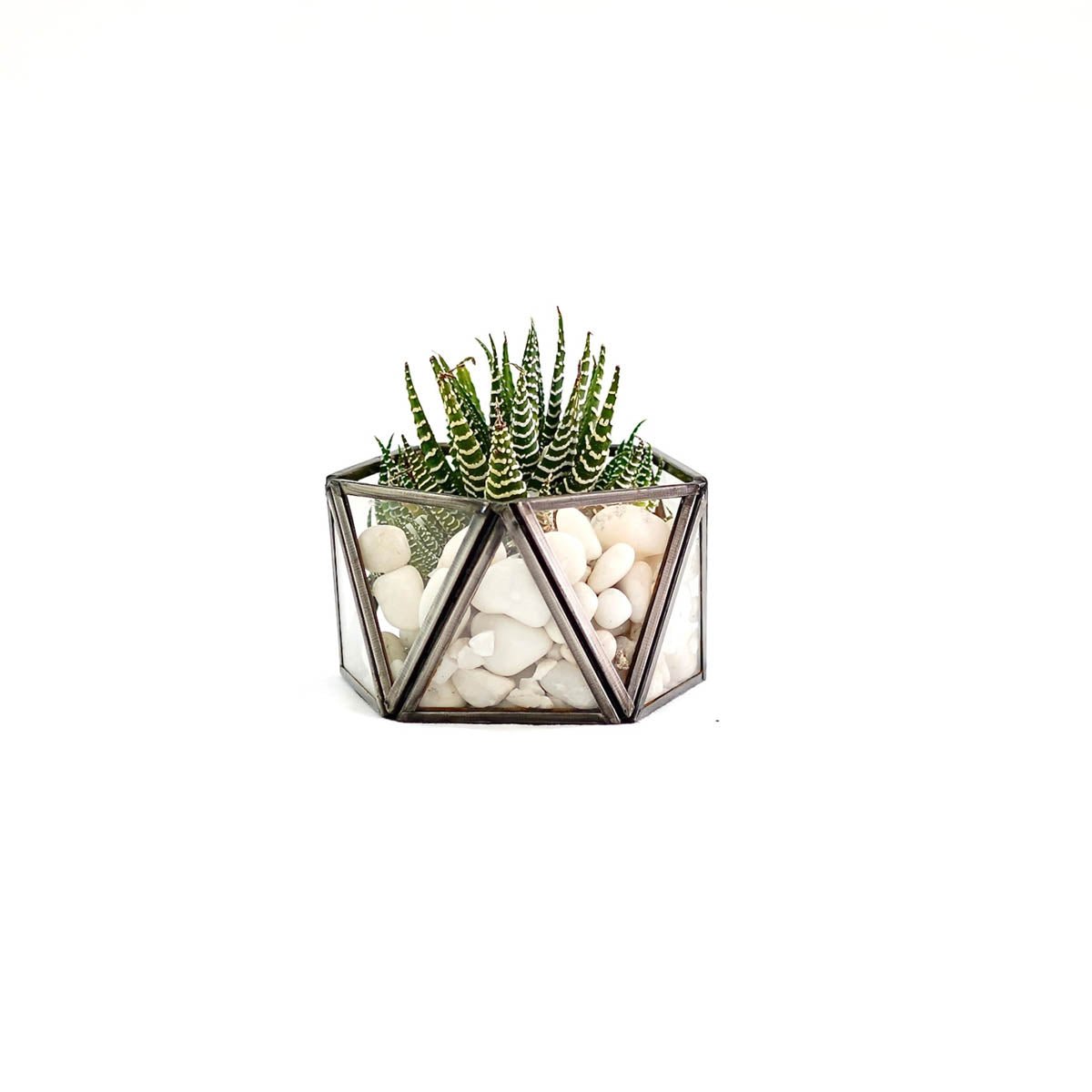 Terrarium Antique Copper, Set - Behoma