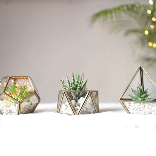 Terrarium Mini Planters, Antique Brass