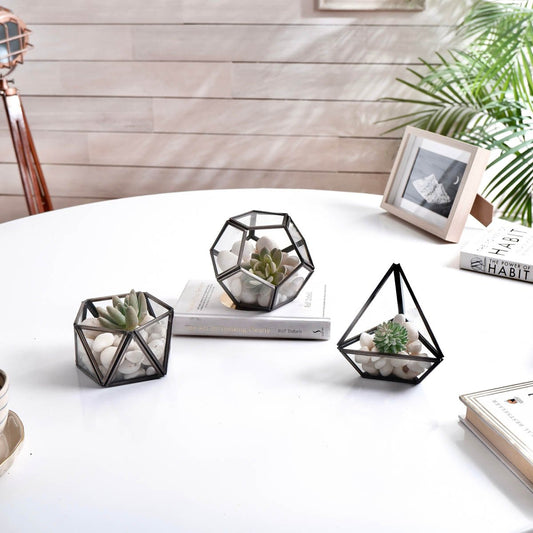 Terrarium Nickel Black Set of 3 - Behoma