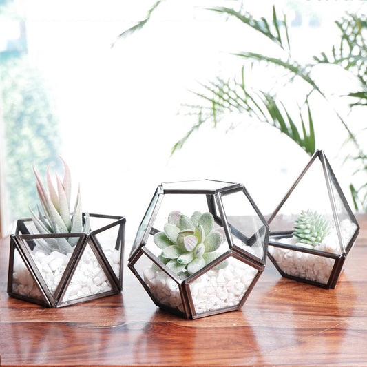 Terrarium Nickel Black Set of 3 - Behoma